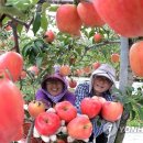 학림농장 이미지