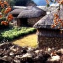 오리대감 이미지