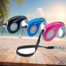 쿠치올로 이미지