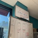 (내돈내방)서천 블루아일랜드 캠핑장 후기/사이트추천