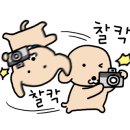 카페포스트스토리 이미지