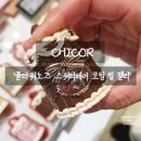 시코르메이크업 | 플라워노즈 시코르 스위티베어컬렉션 씨뷰티 코덕 메이크업 추천 후기