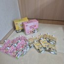 다음펫 | 락토프리 강아지우유 '슈퍼포우펫밀크' 바나나맛 딸기맛 급여 후기