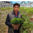 산골짜기농장 이미지