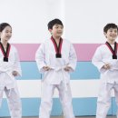 한국체대 MTA 태권도 이미지