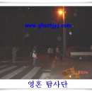 옥석목장 Daum카페
