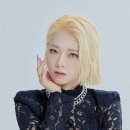 와이진 이미지