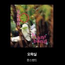 777오락실 이미지