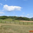 연천신답리고분 이미지