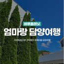 황토한우농장 | 국내여행 | 엄마랑 담양여행 : 블루베리 수확, 유리 코스터 만들기 등 이색체험으로 채운 여행