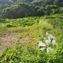 각북면사무소 이미지