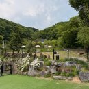 별똥구리 | 별똥구리 다녀온 리얼 후기, 용인애견카페, 애견운동장, 경기도 애견운동장, 강아지 운동장