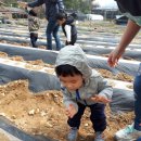 준영농장 이미지