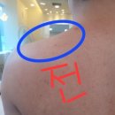 에스엔티스포츠 이미지