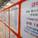 급매물공인중개사사무소 이미지