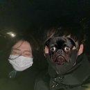 원영카센타