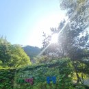 건축사사무소 루트 | 용마폭포공원 산책 후기｜주차부터 황톳길·폭포 시간까지 총정리