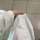 구이본가(용산점) | 본가방문 일기) 여수 나들이 모이핀 순천근교 만천하 후기