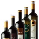 첼로(주간) 이미지