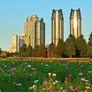 생태원길(배롱나무길) 이미지