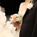 락포트강릉점 | 결혼식 후기 및 결산