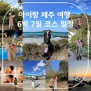 해피드림덴탈 | 아이랑 제주여행 6박 7일 코스 일정 숙소 꿀팁 정보 겨울풍경