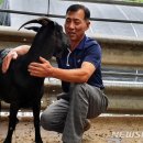 박상수농장 이미지