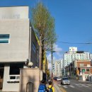 서울영문초등학교 이미지