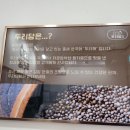 두리당김밥