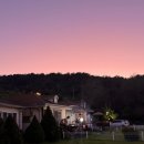 제부포레스트 이미지