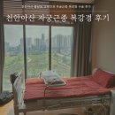 혜성산부인과병원 | 천안아산 불당동 산부인과 자궁근종 복강경 수술 후기