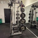 헤이스짐 이미지