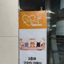 심쿵하냥 이미지