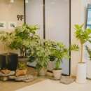 엔케이라피움한방병원 이미지