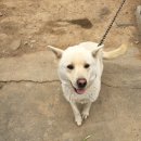 알바(Rbar) 이미지