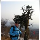신내동-017 Daum카페
