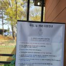 우리 늘 | 일산애견운동장 일산애견카페 우리늘애견카페 서울근교애견동반