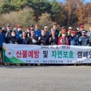 영동군정신건강복지센터 이미지