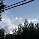 동네맛집 이미지