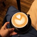 코알라커피공장
