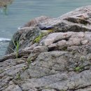 모둘자리 이미지