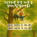 옥과 성륜사주차장 이미지