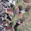 청계농장 이미지