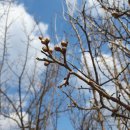 운심지구 화장실 이미지