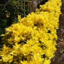 사철슈퍼 이미지