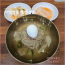 신대방동 보라매 맛집 [ 서평면옥 ] 블루리본 평양냉면 전문점 내돈내산 후기