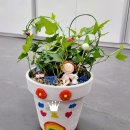 한빛초교(병설) 이미지