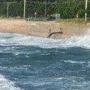 울진해양경찰서 이미지