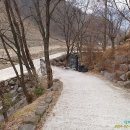 다릿골농장식당 Daum카페