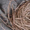 막다른 둥지 이미지